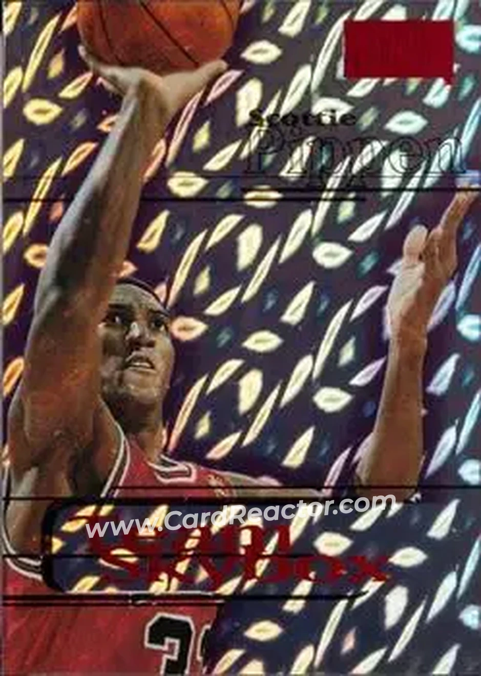Front of Scottie Pippen
