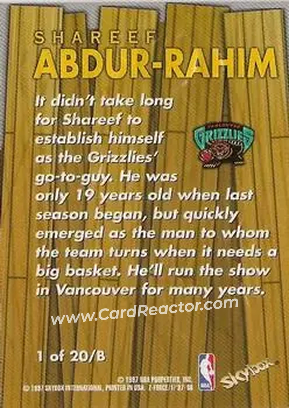 Back of Shareef Abdur-Rahim
