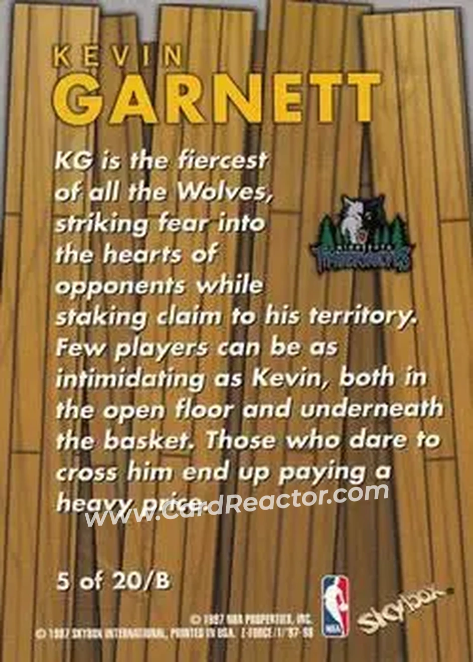 Back of Kevin Garnett