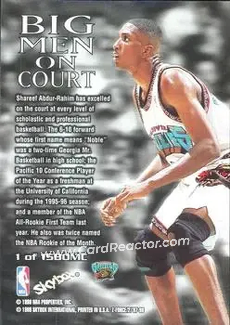 Back of Shareef Abdur-Rahim