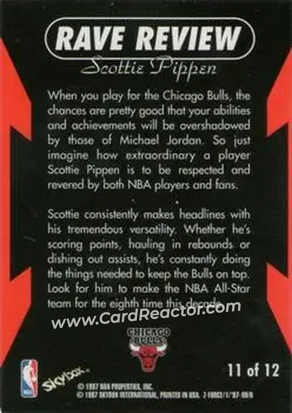 Back of Scottie Pippen