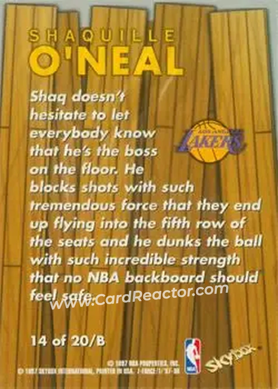Back of Shaquille O'Neal