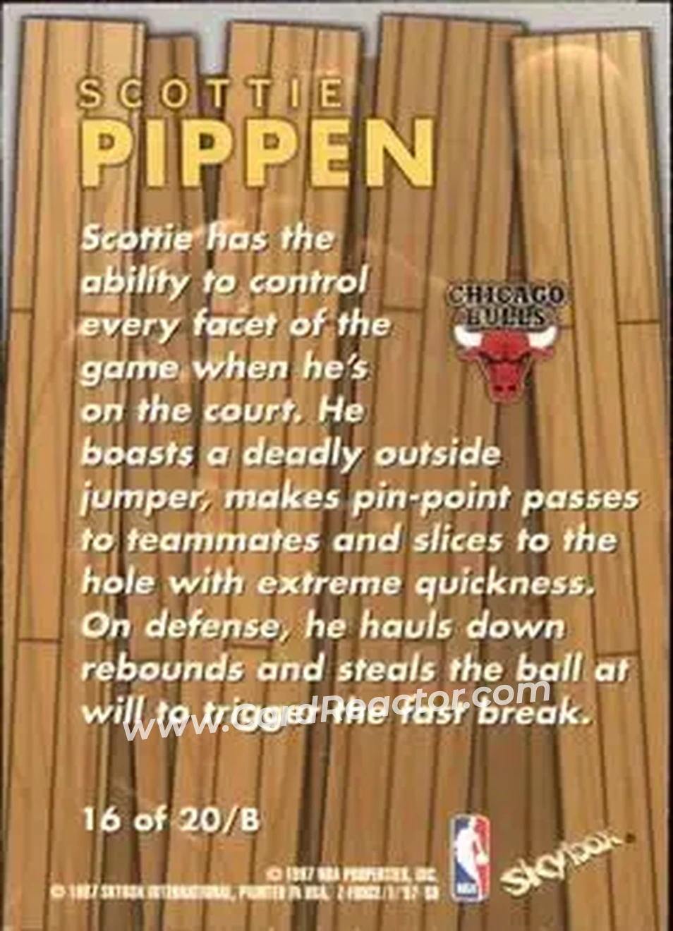 Back of Scottie Pippen