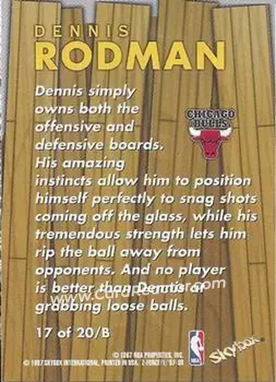 Back of Dennis Rodman
