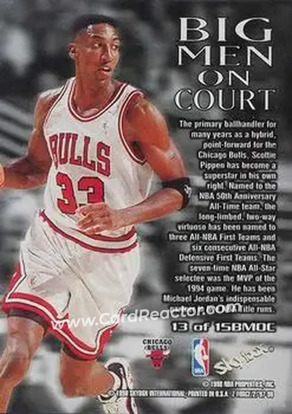 Back of Scottie Pippen