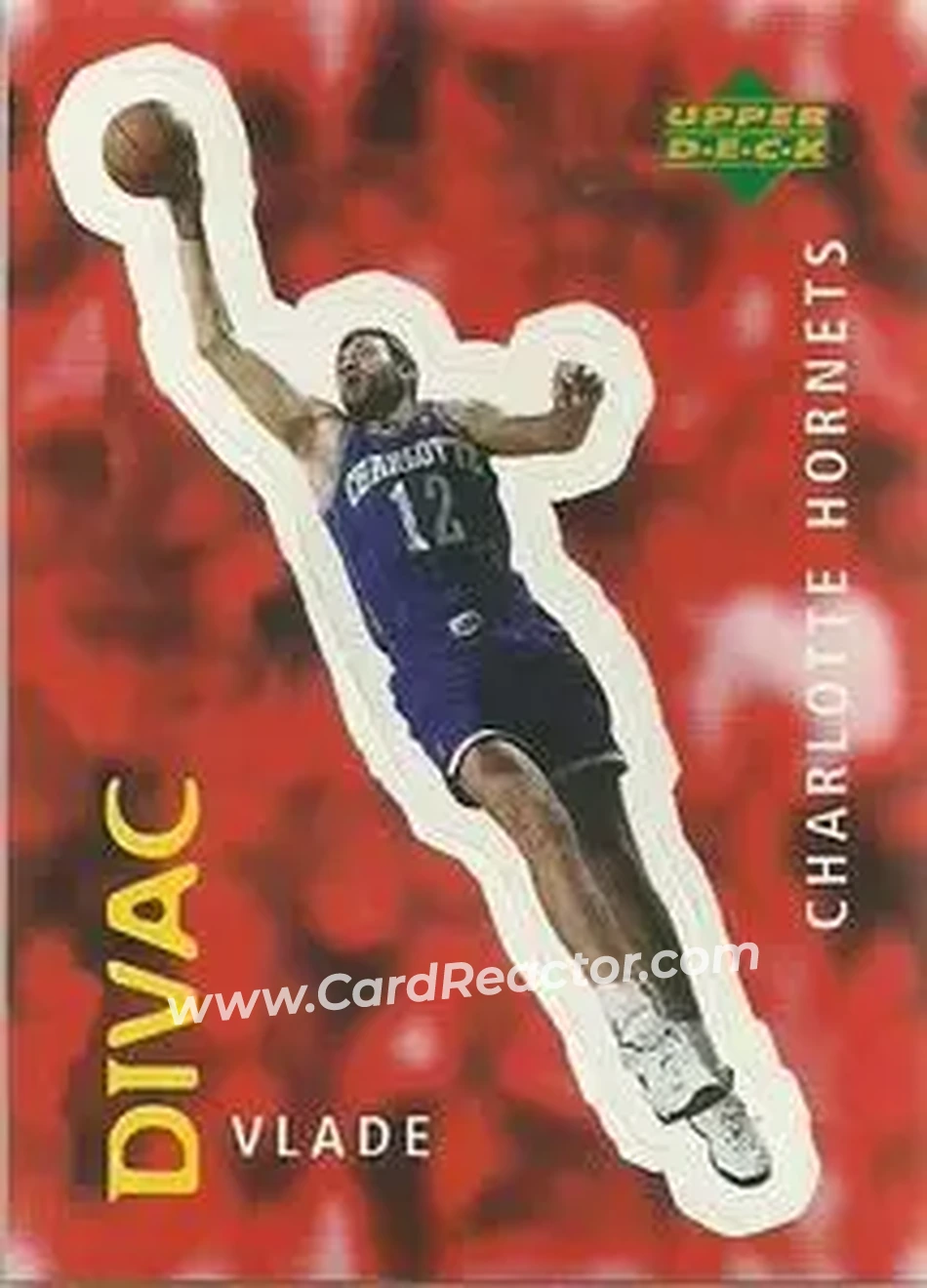 Front of Vlade Divac