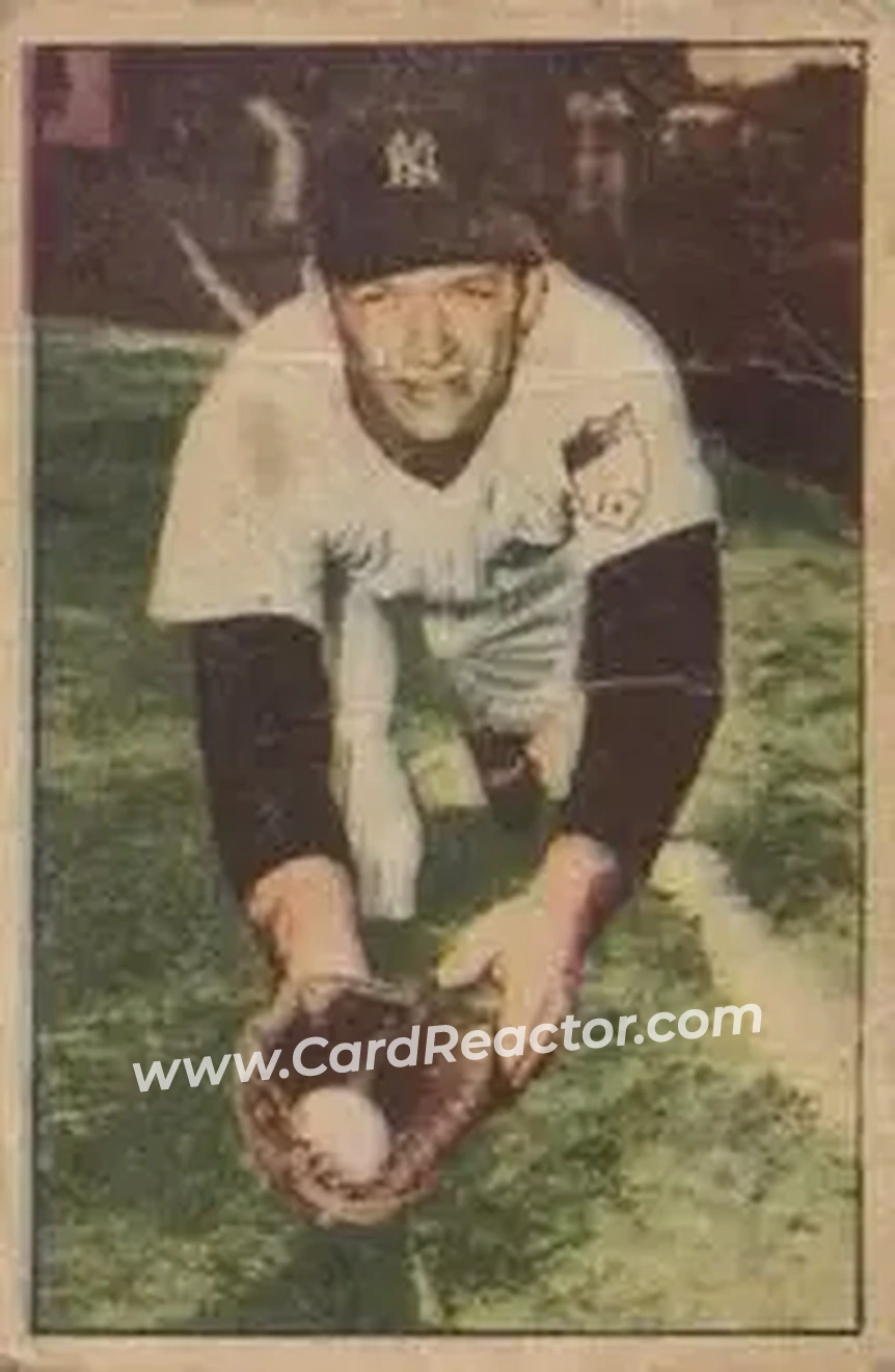 Front of Joe Collins