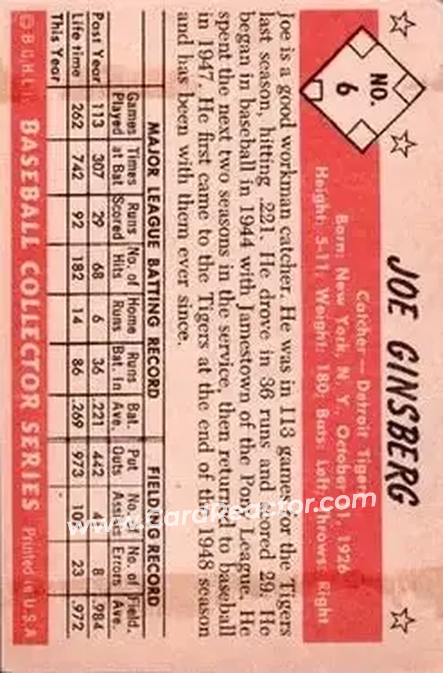 Back of Joe Ginsberg