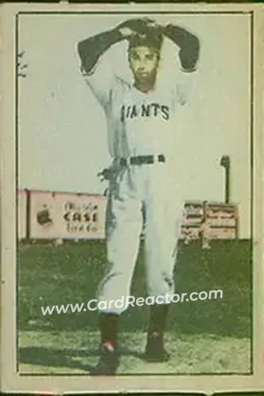 Front of Sal Maglie