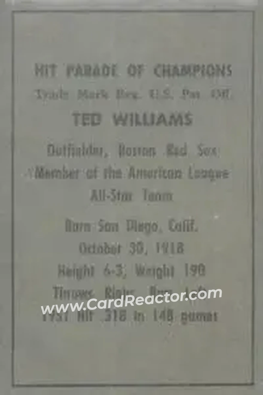 Back of Ted Williams