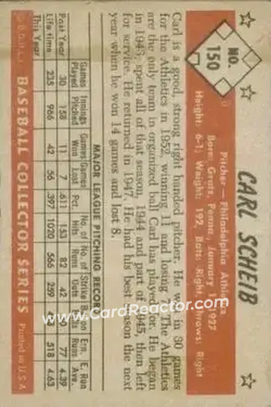 Back of Carl Scheib
