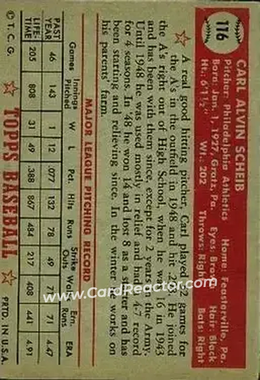 Back of Carl Scheib