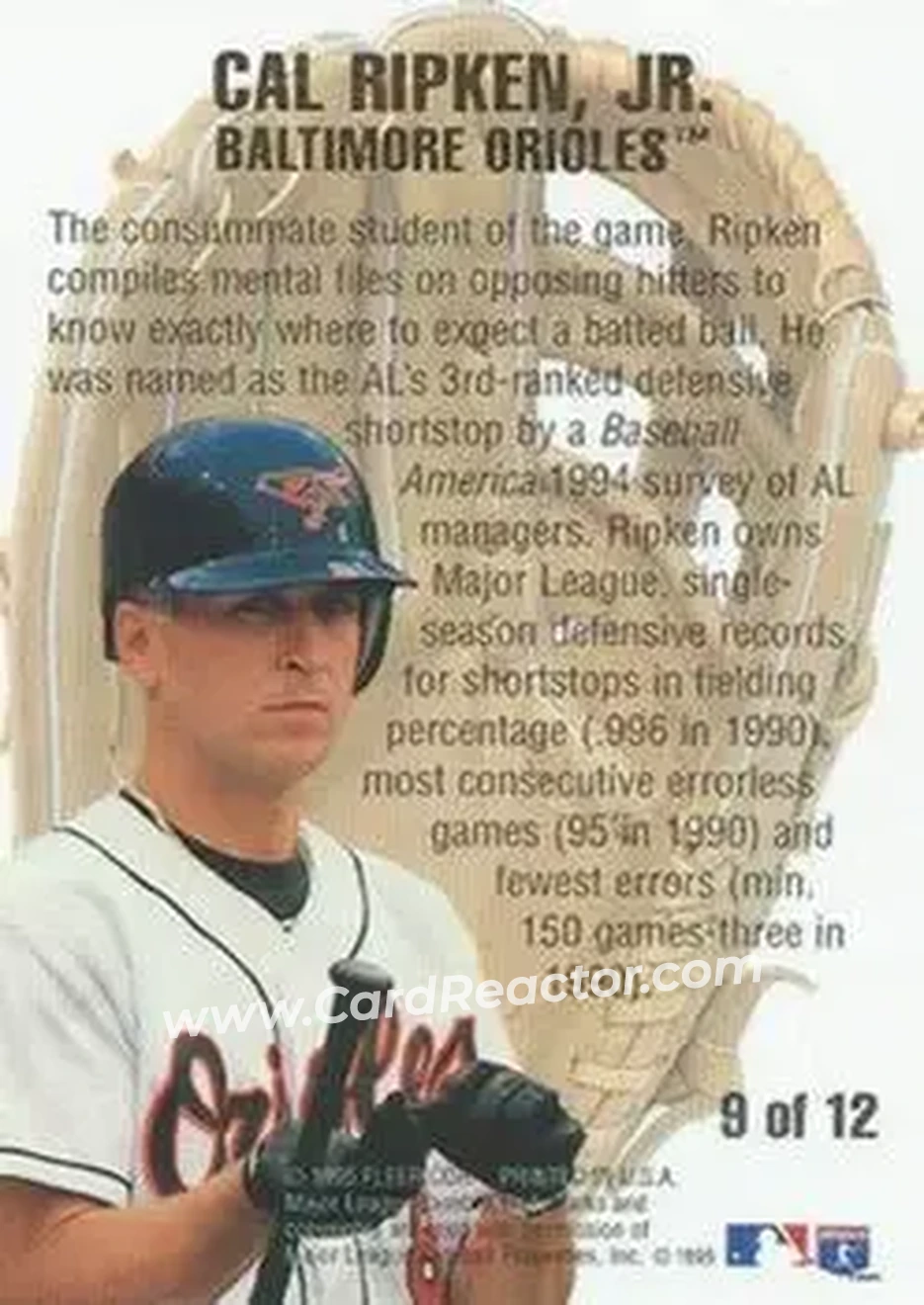 Back of Cal Ripken