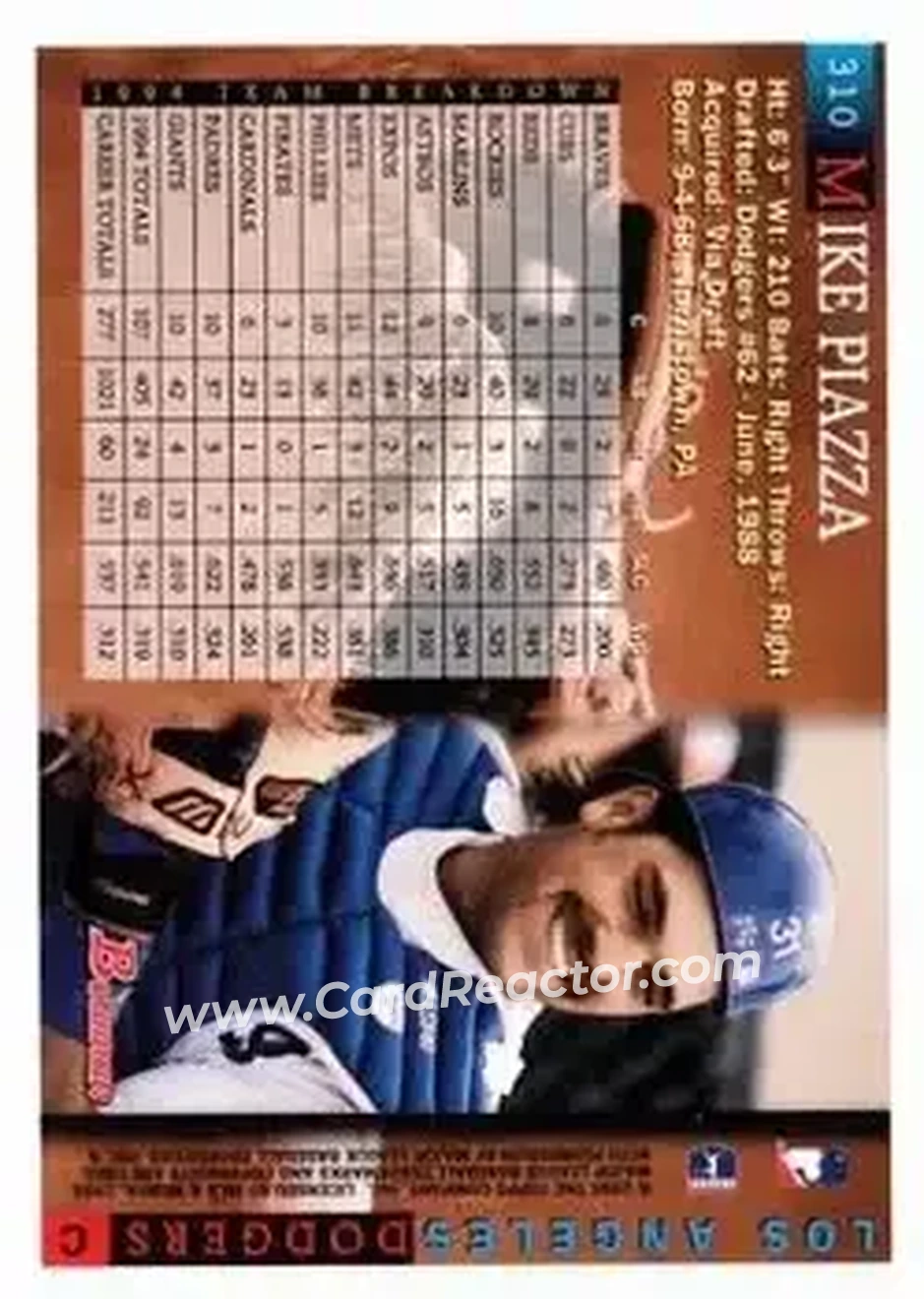 Back of Mike Piazza