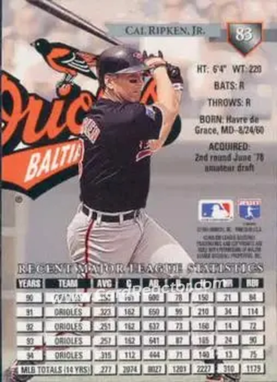 Back of Cal Ripken