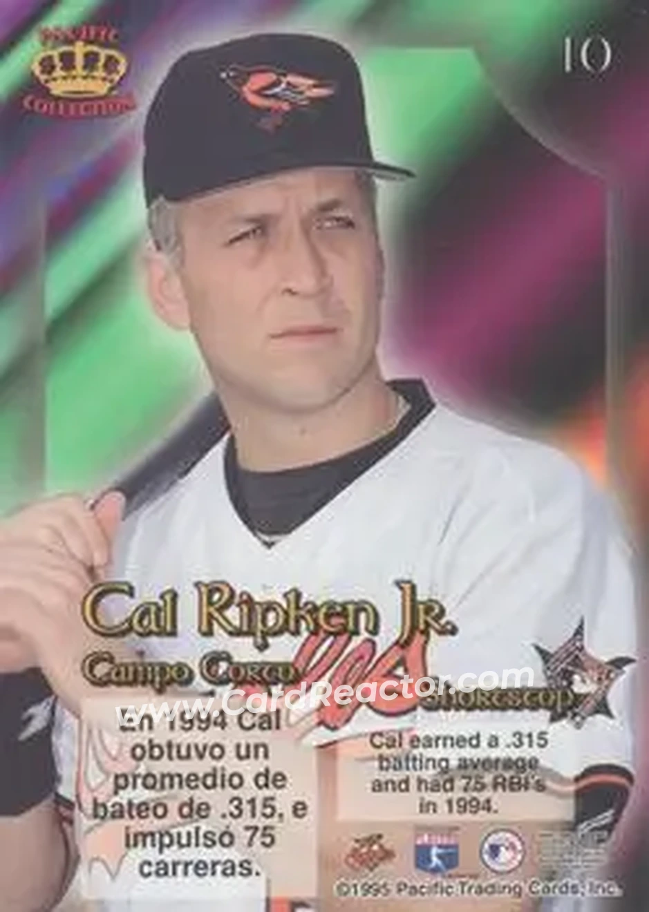 Back of Cal Ripken