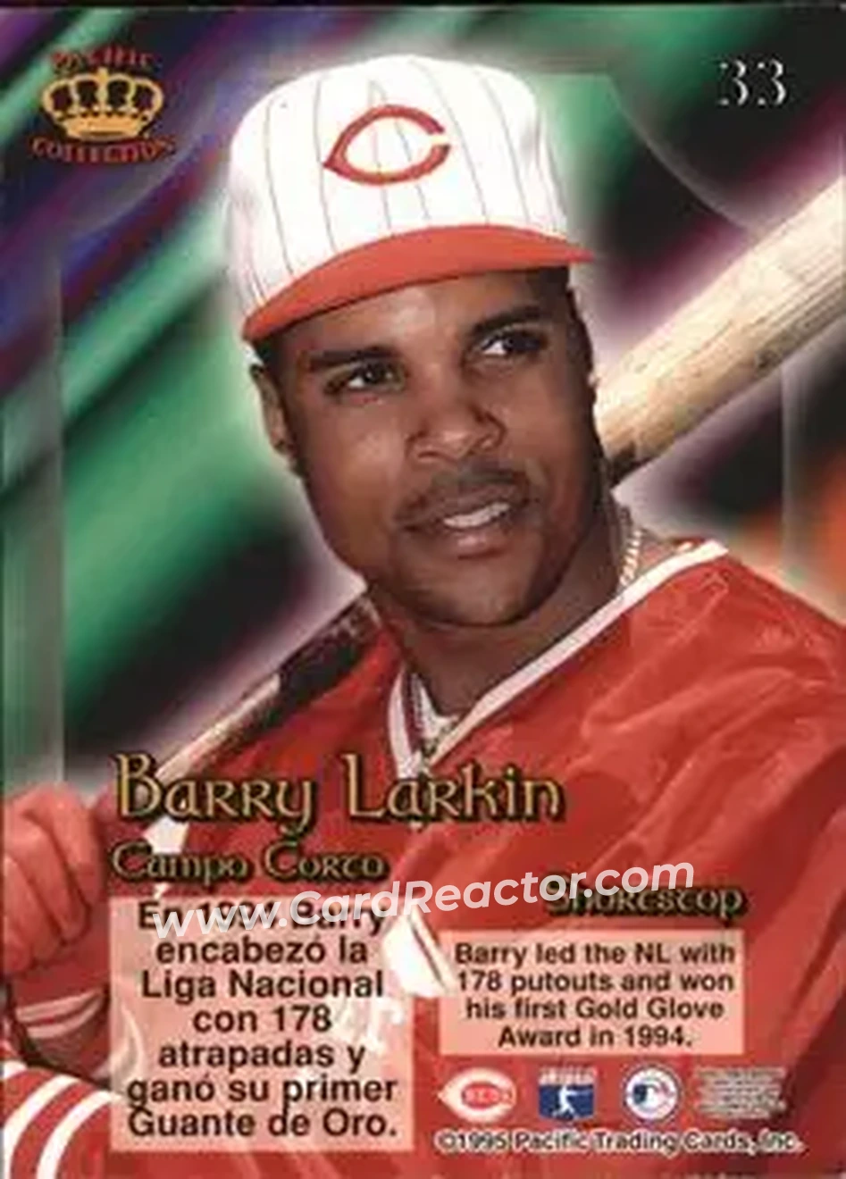 Back of Barry Larkin