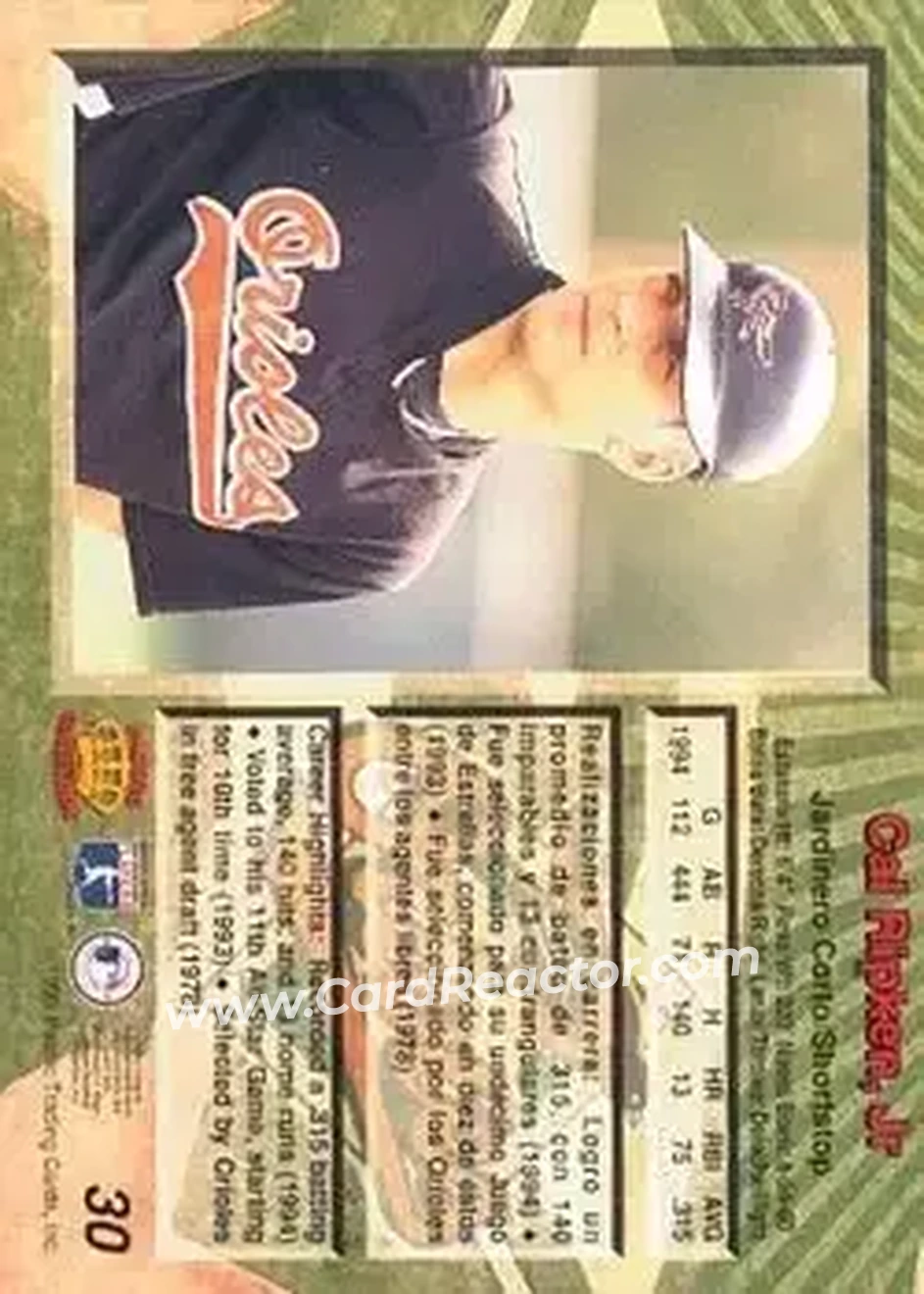 Back of Cal Ripken