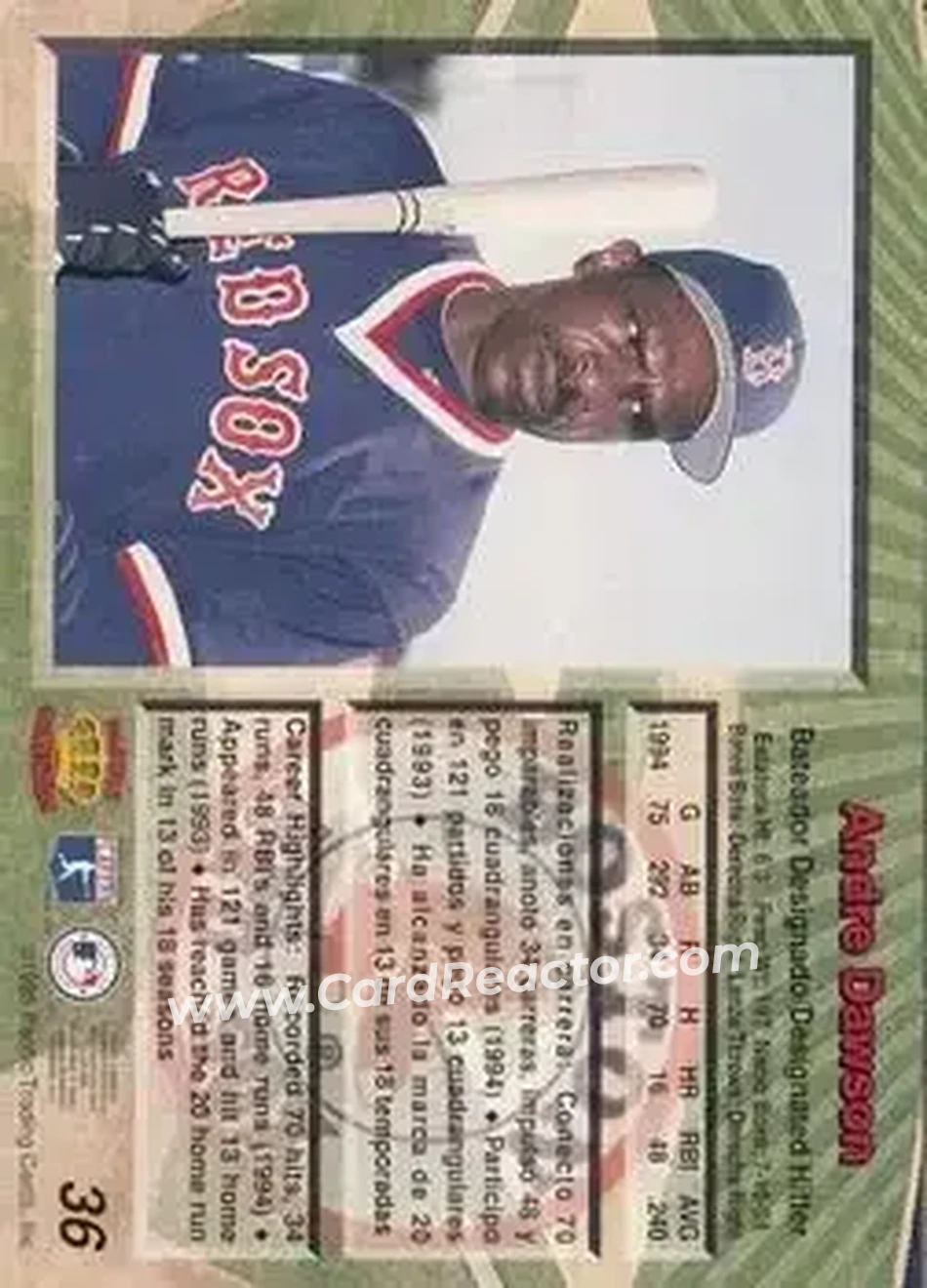 Back of Andre Dawson