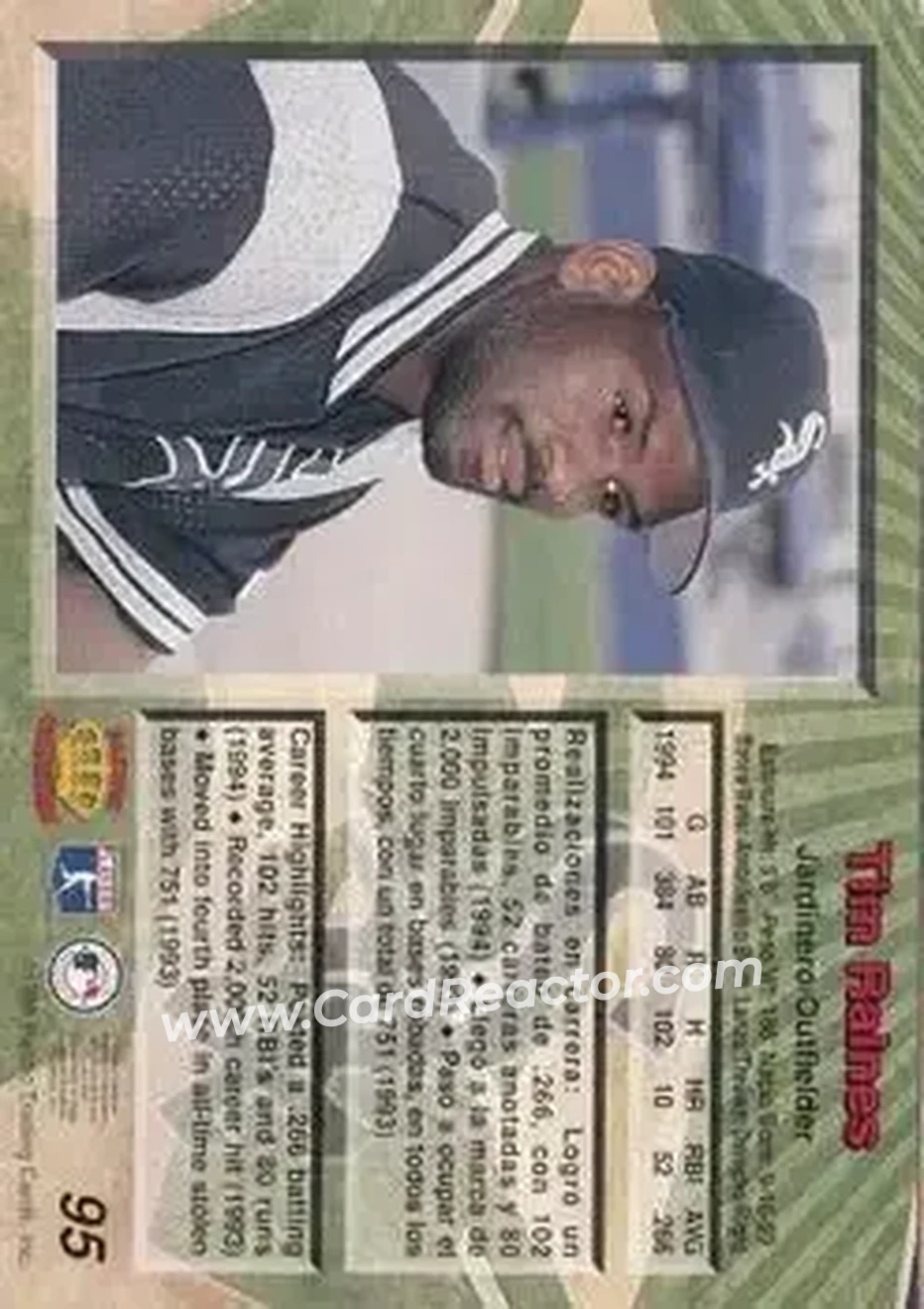 Back of Tim Raines