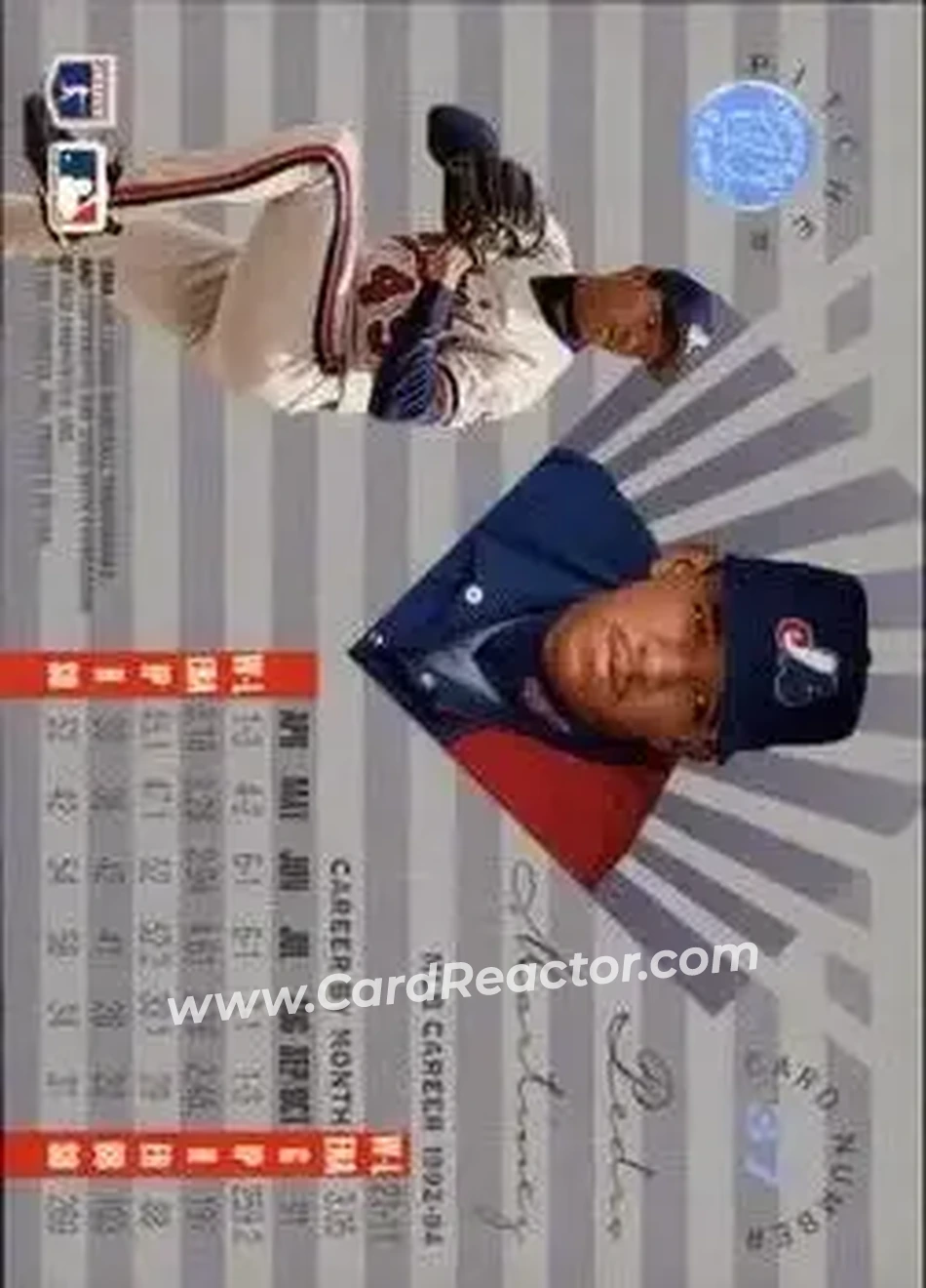 Back of Pedro Martinez
