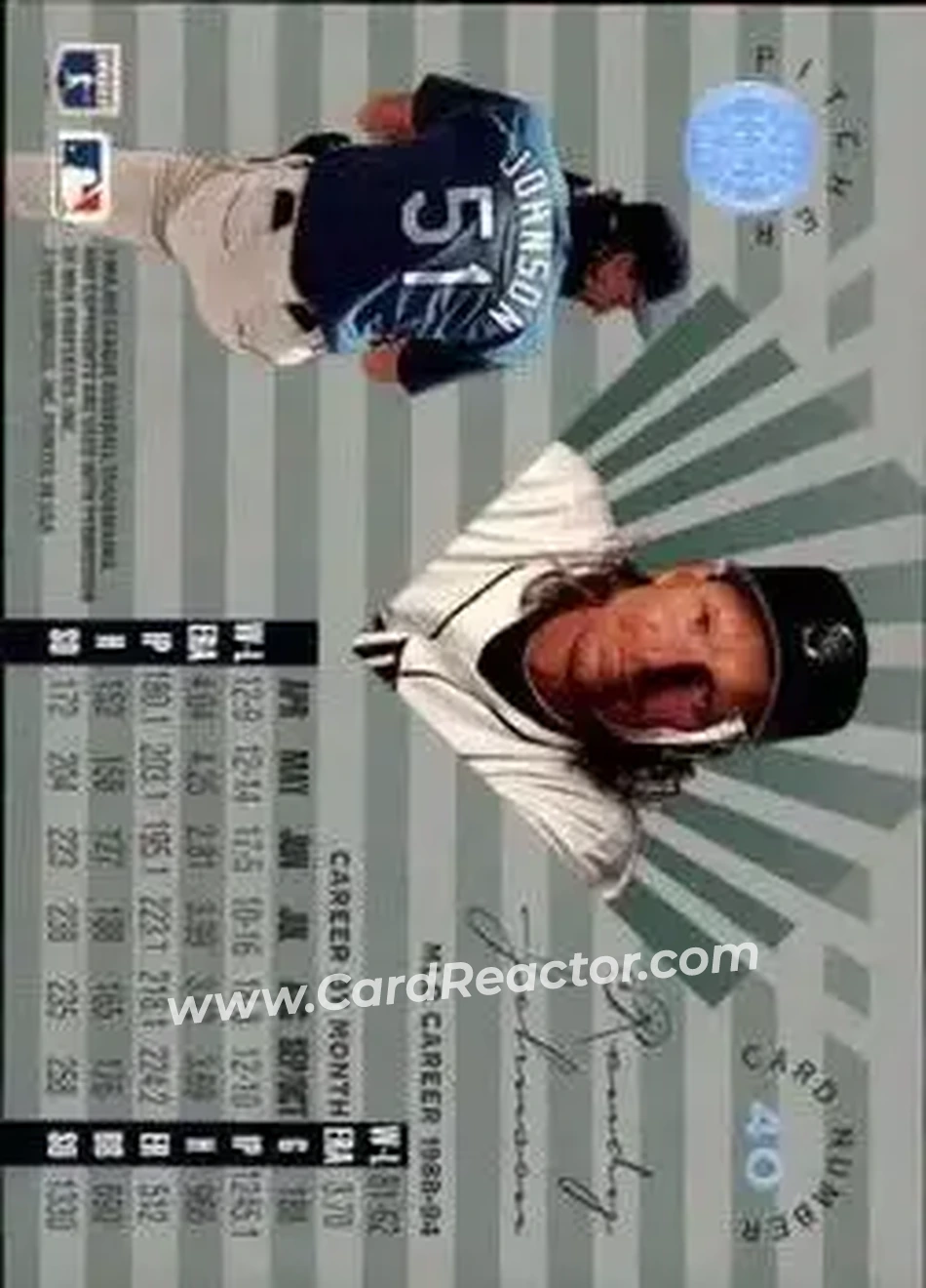 Back of Randy Johnson