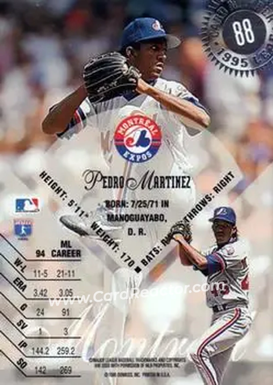 Back of Pedro Martinez
