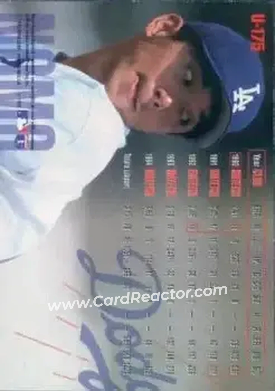 Back of Hideo Nomo
