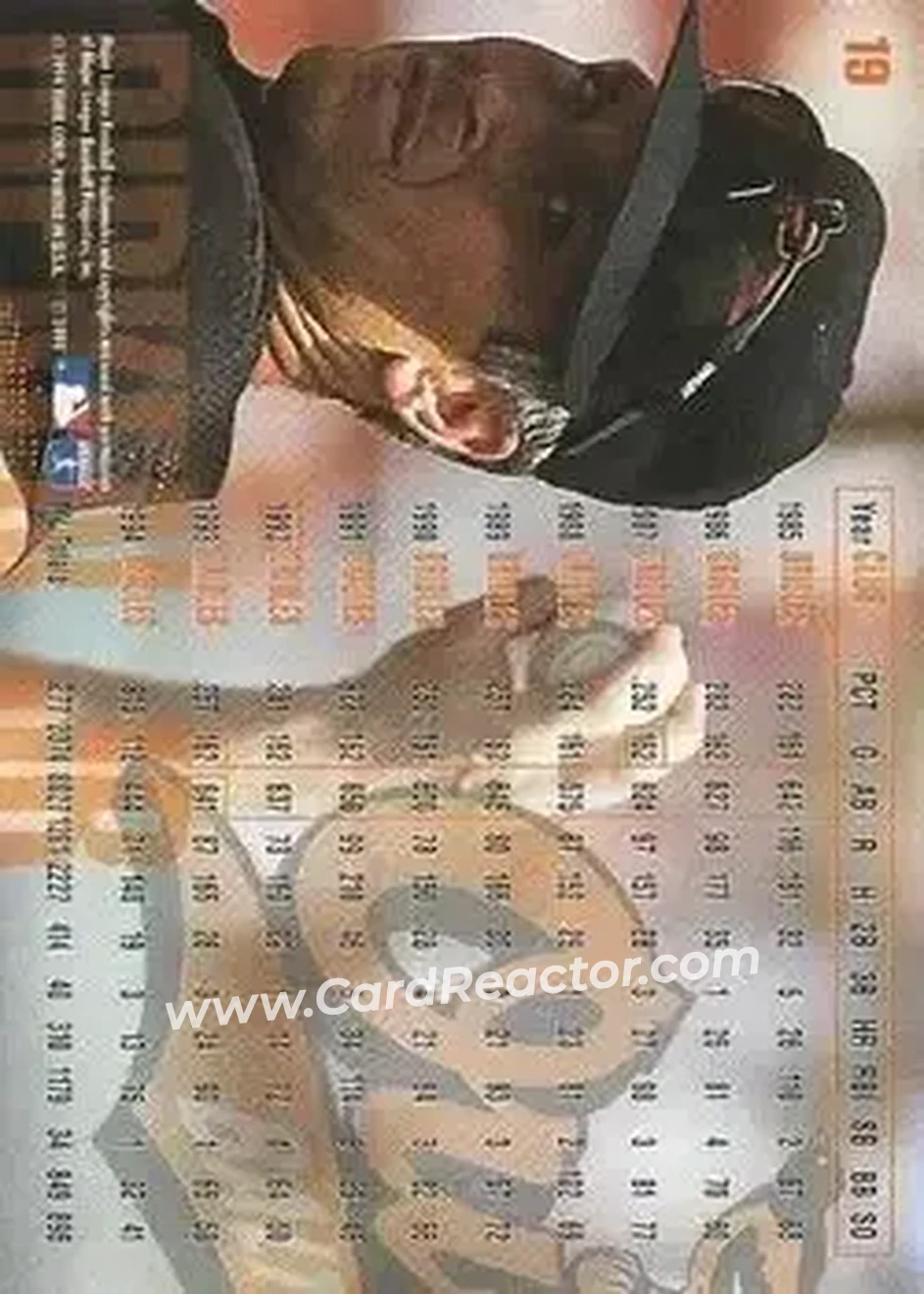 Back of Cal Ripken