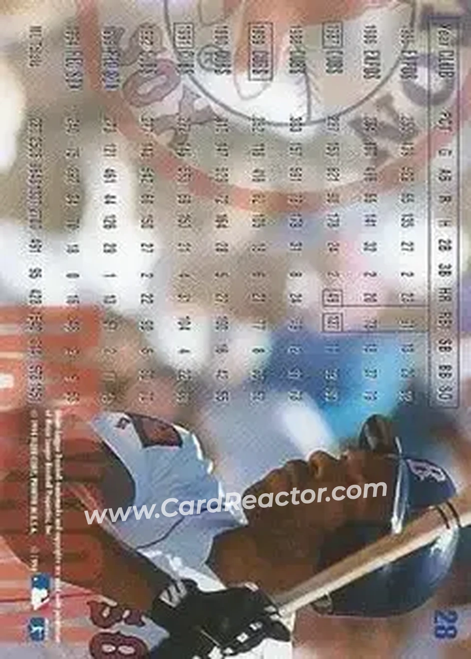 Back of Andre Dawson