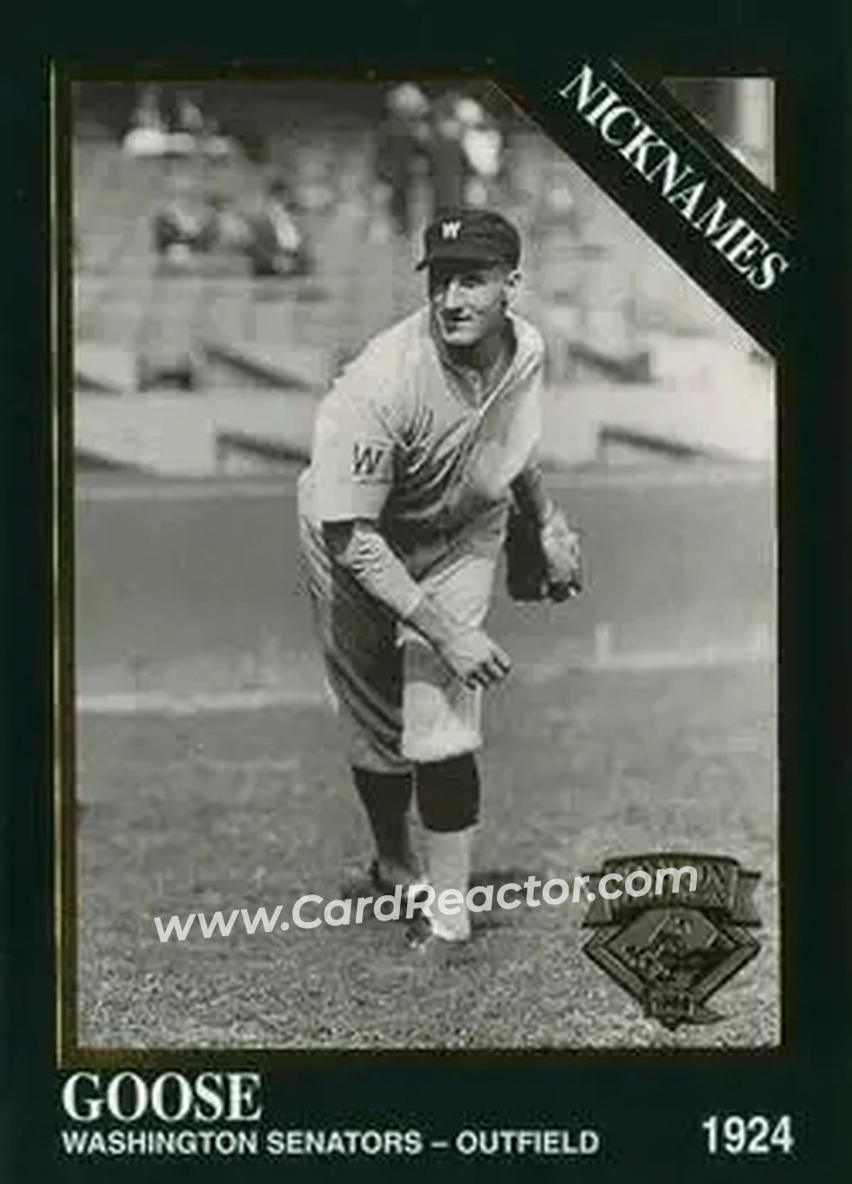 Front of Goose Goslin