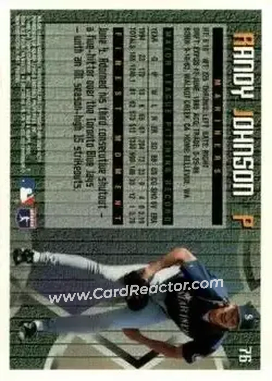 Back of Randy Johnson