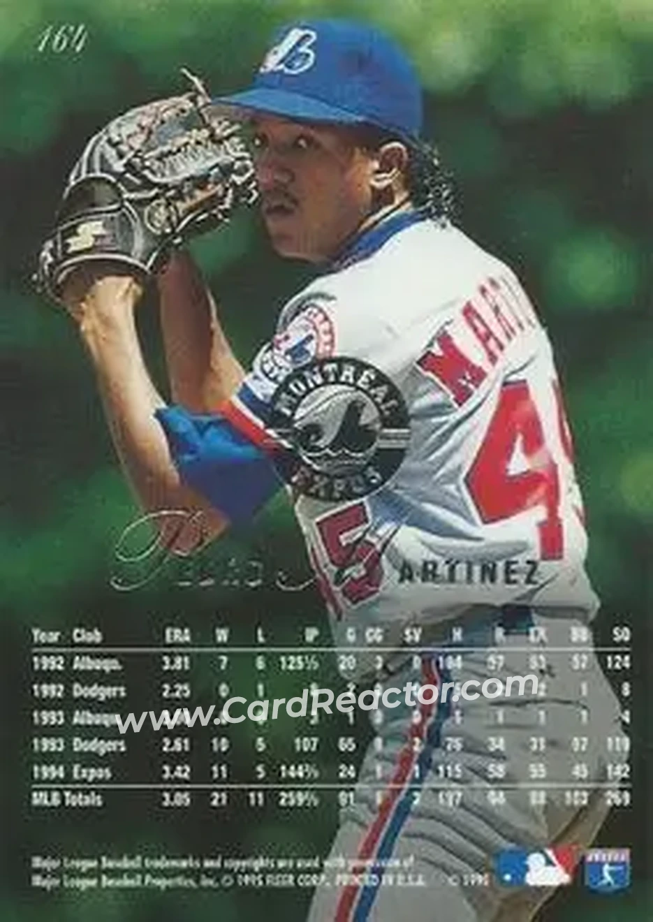 Back of Pedro Martinez