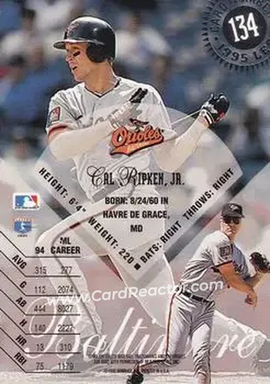 Back of Cal Ripken