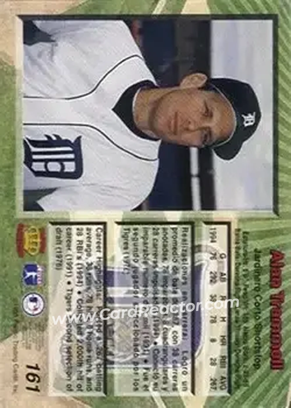 Back of Alan Trammell