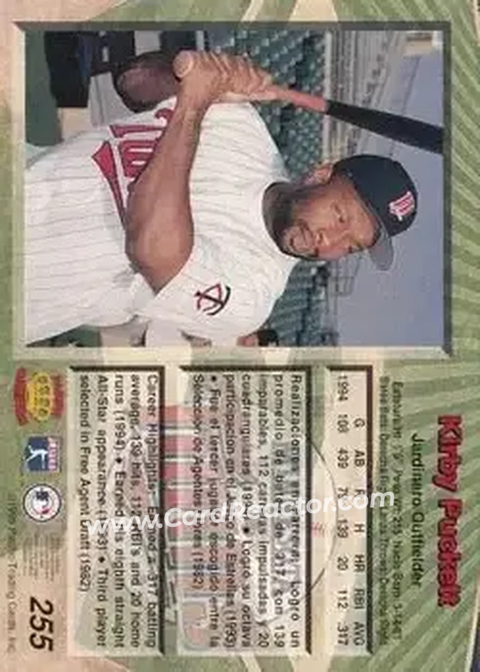 Back of Kirby Puckett