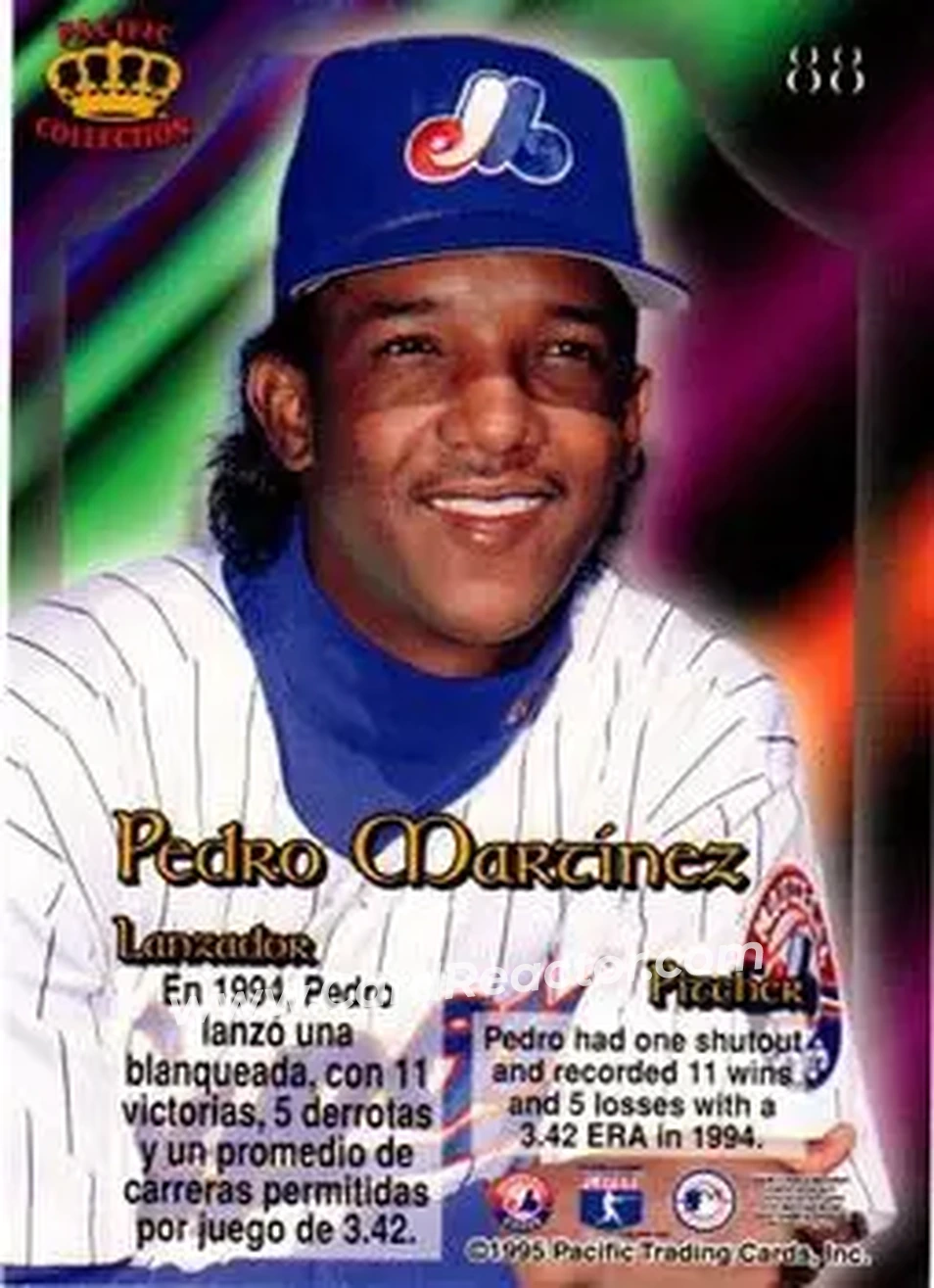 Back of Pedro Martinez