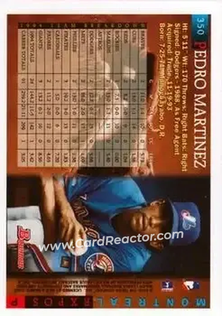Back of Pedro Martinez