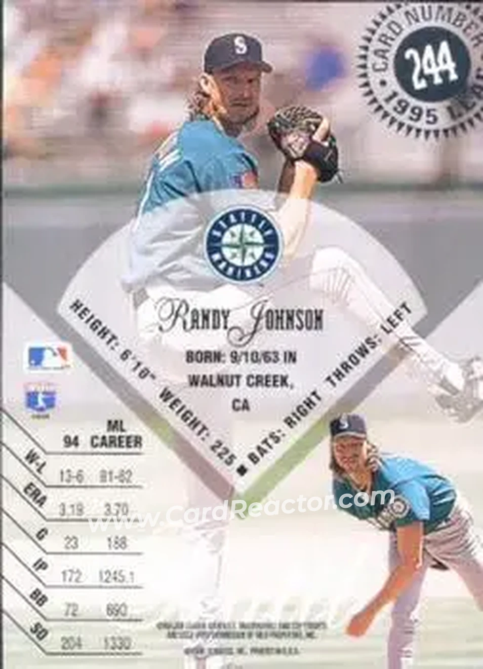 Back of Randy Johnson