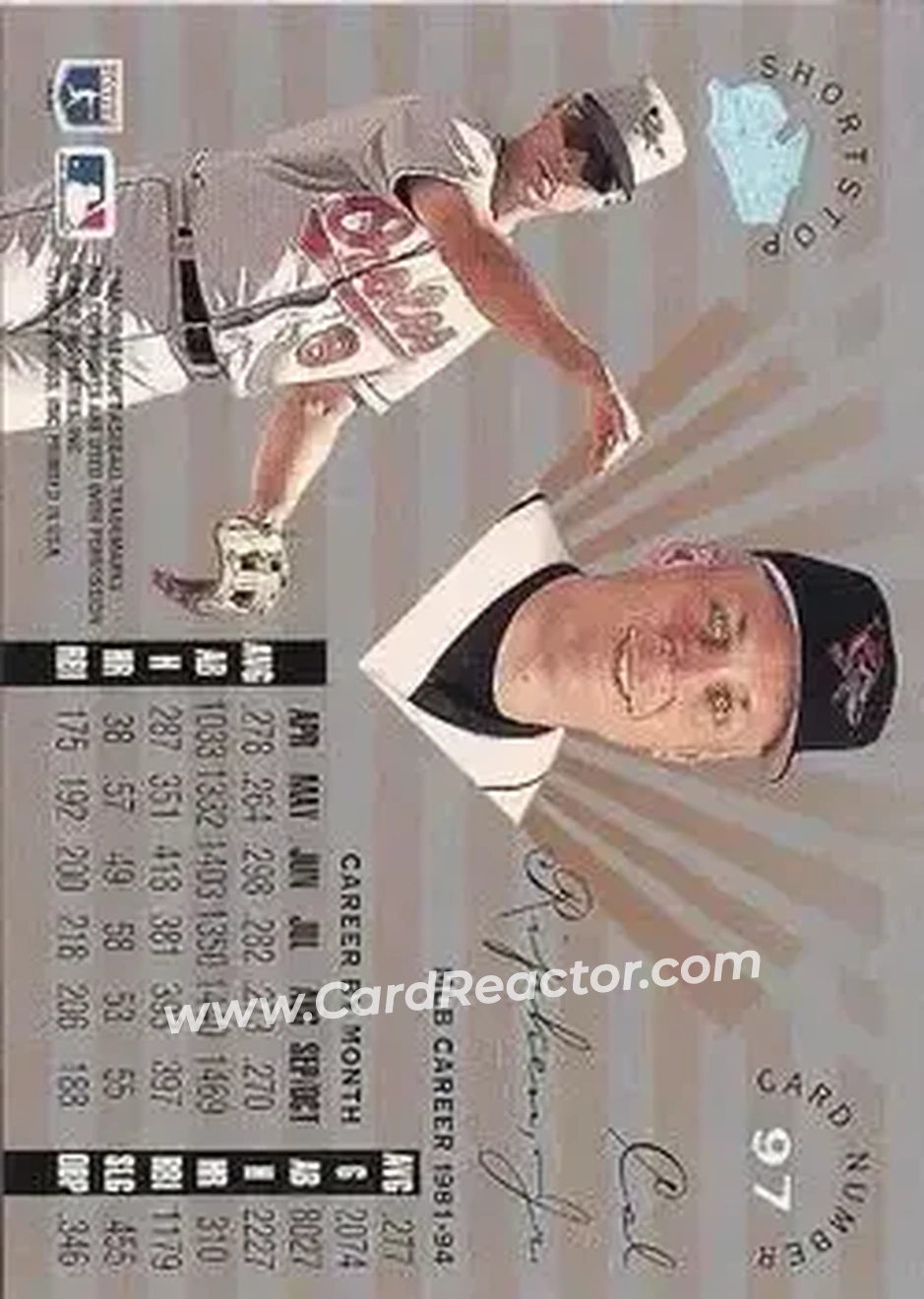 Back of Cal Ripken