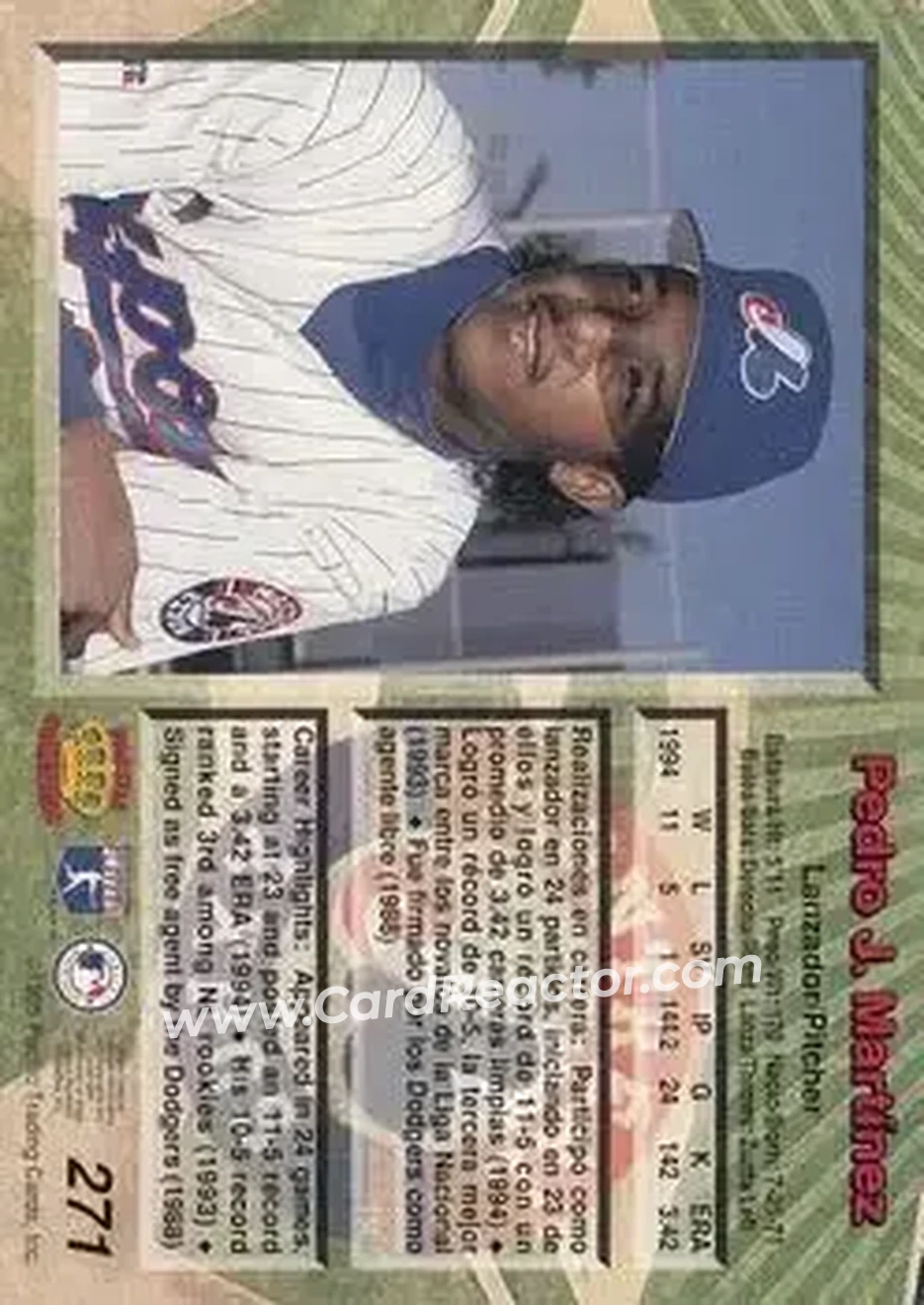 Back of Pedro Martinez