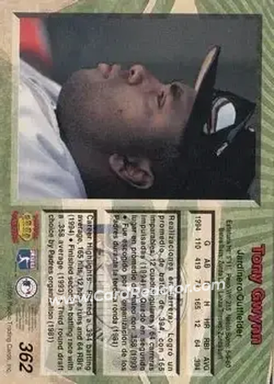 Back of Tony Gwynn