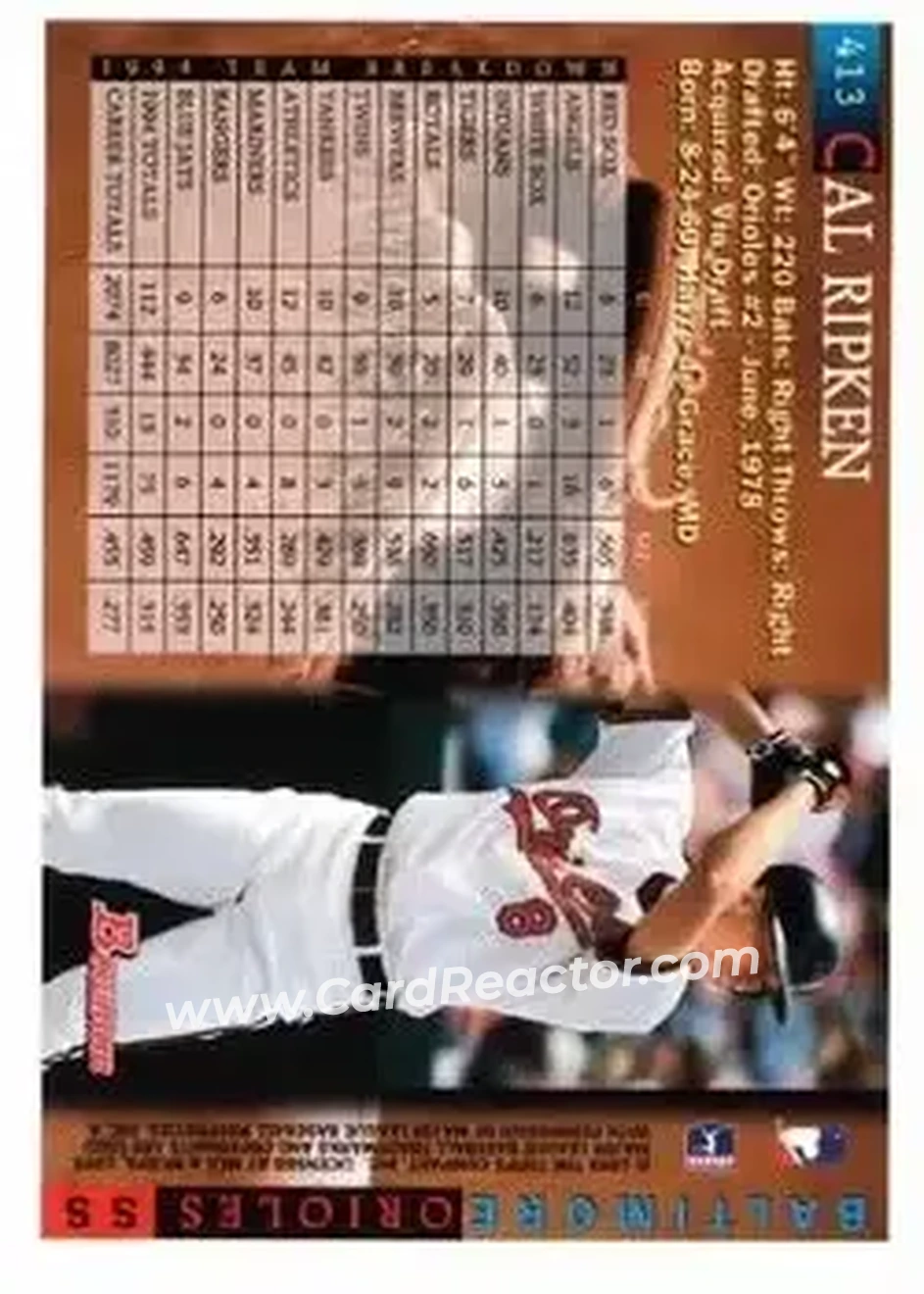 Back of Cal Ripken