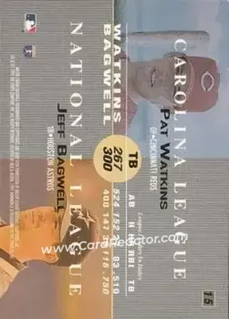 Back of Card #15