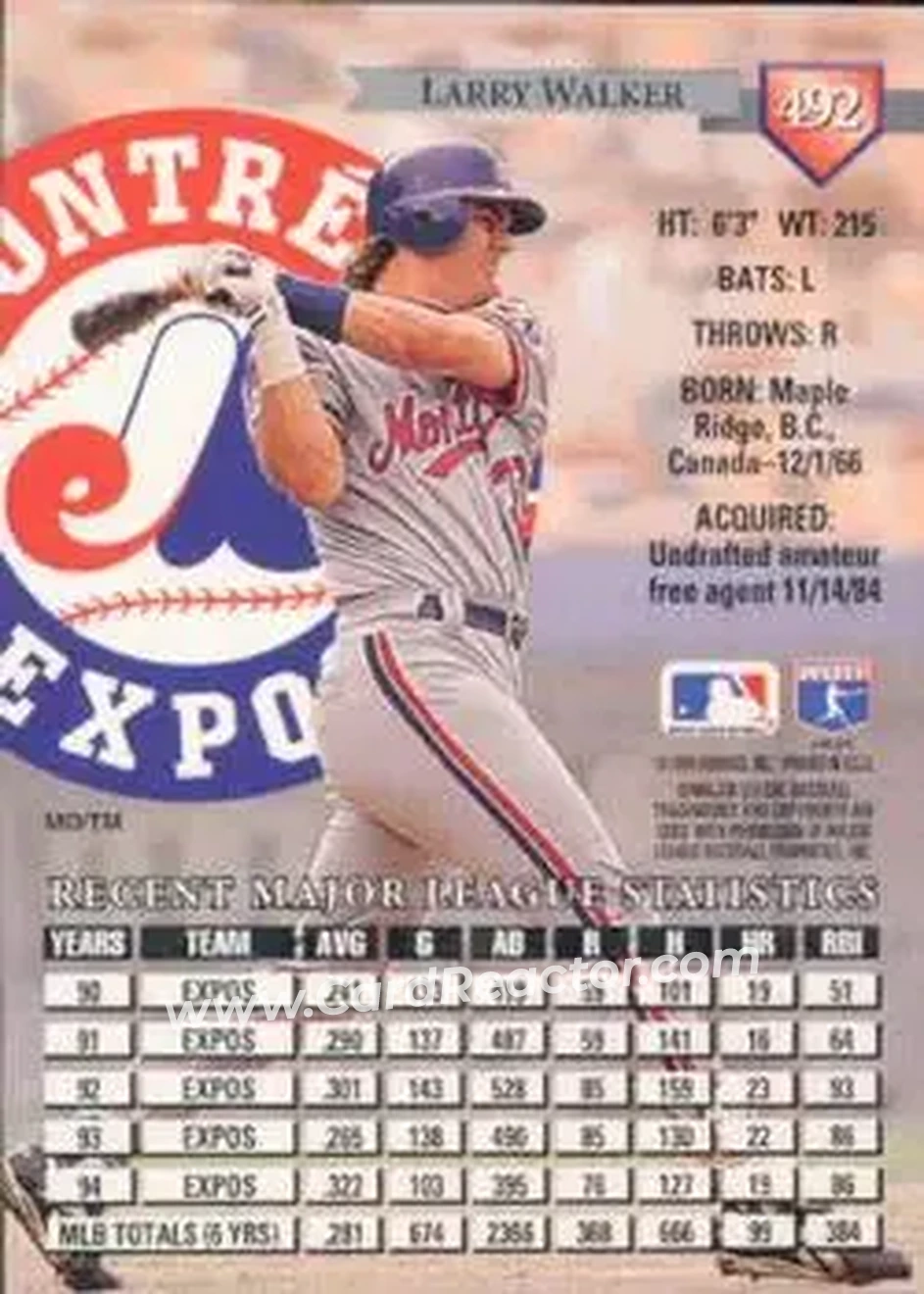 Back of Larry Walker