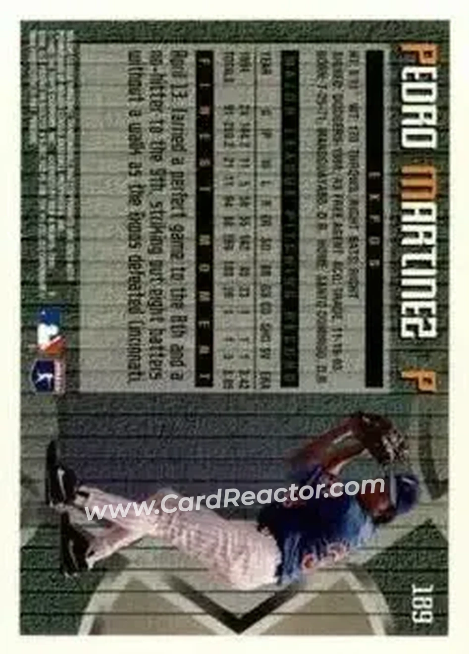 Back of Pedro Martinez