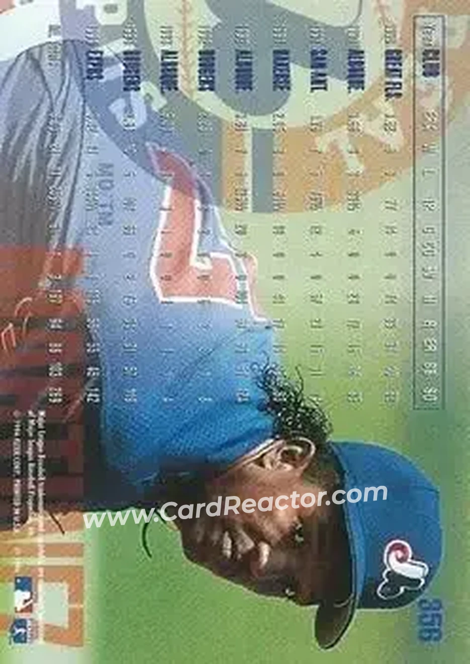 Back of Pedro Martinez