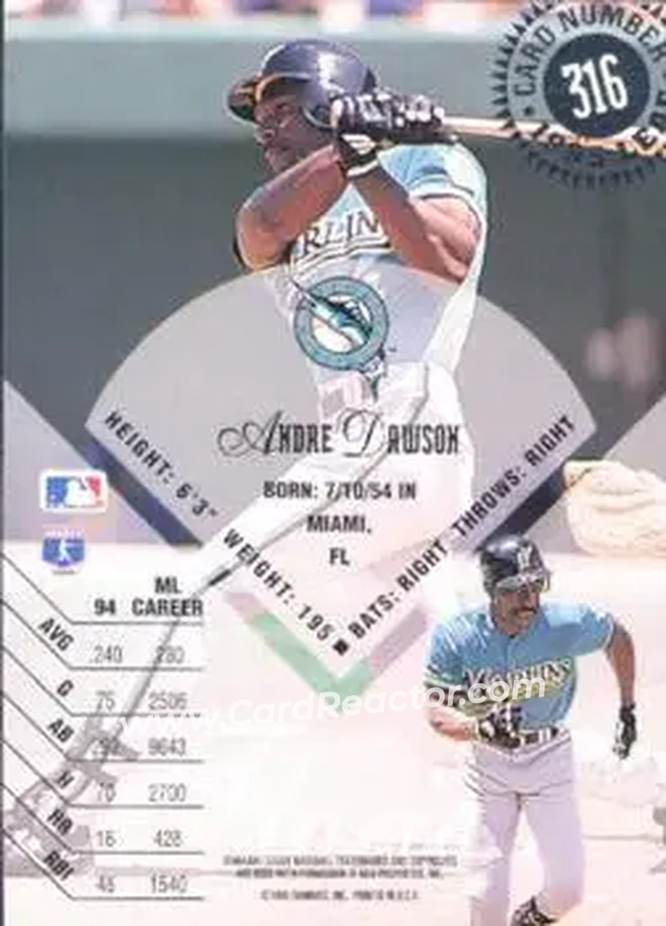 Back of Andre Dawson