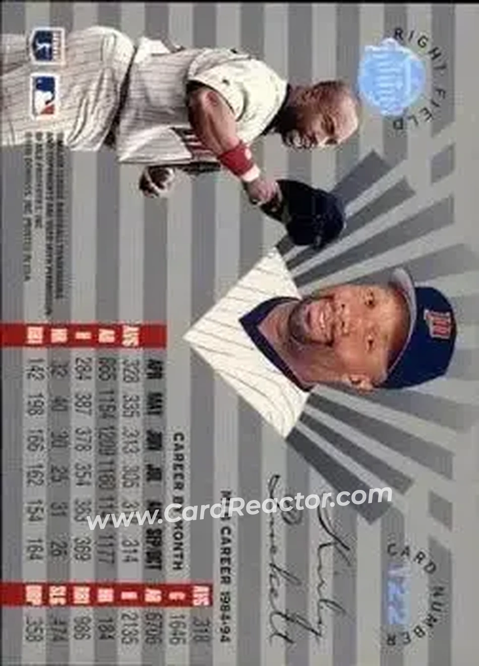 Back of Kirby Puckett