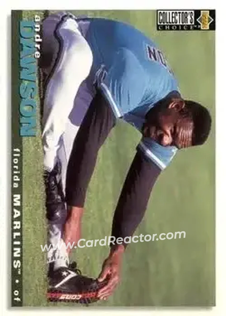 Front of Andre Dawson